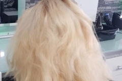 36482425_405976916556507_1473415778165325824_n